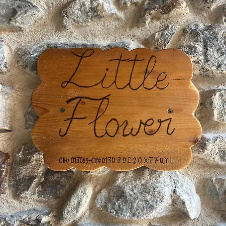 Little Flower Apartament