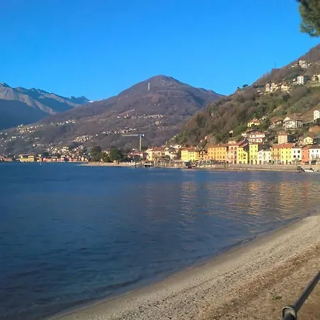 Little Flower * Domaso