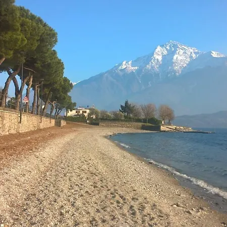 Little Flower * Domaso