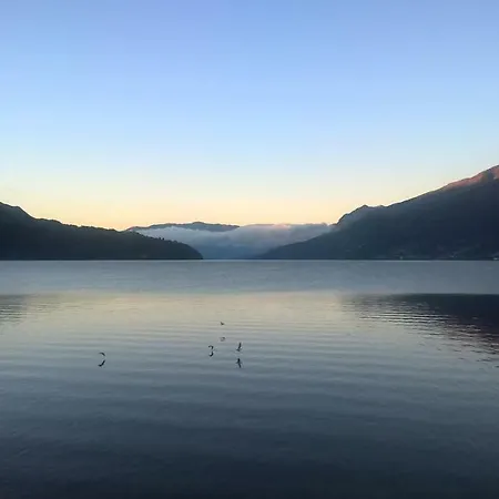 Little Flower Apartman