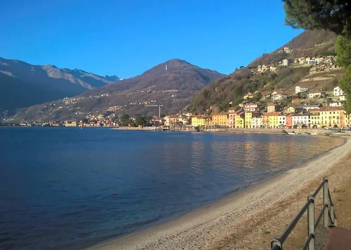 Little Flower * Domaso