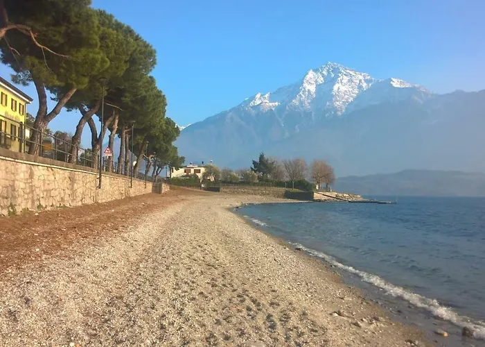 Little Flower * דומאסו