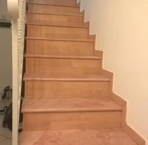 Little Flower * דומאסו