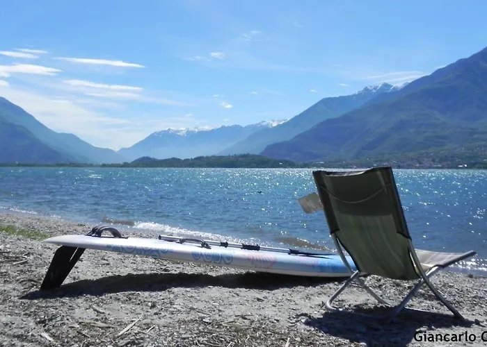 Little Flower * דומאסו