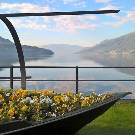 Апартаменты Little Flower