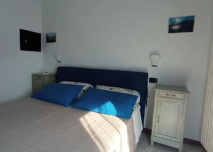 Little Flower دومازو