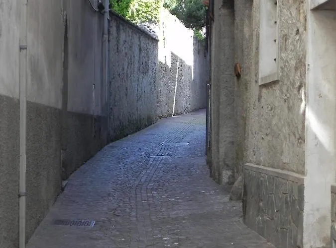 Little Flower دومازو